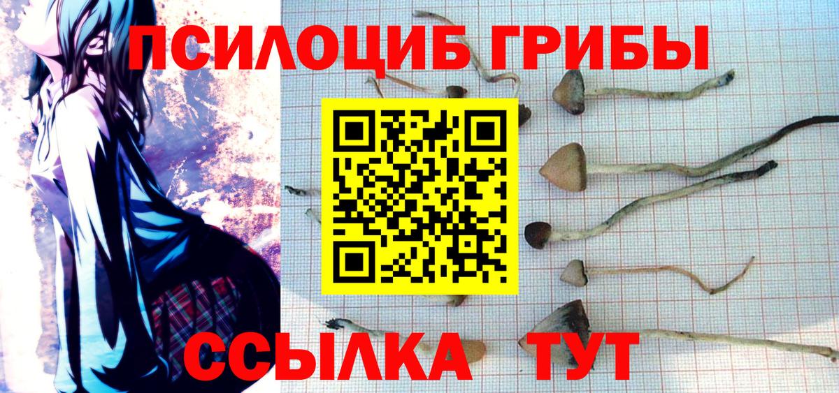 Лесной  наркошоп  Вход с VPN  Галлюциногенные грибы мухоморы 